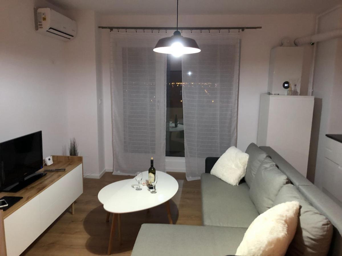 Chronos Apartment - Modern And Stylish Timisoara Exterior photo